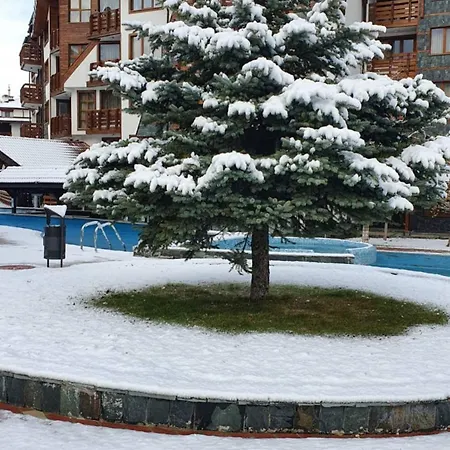 Apartament Elegant Access Premium *