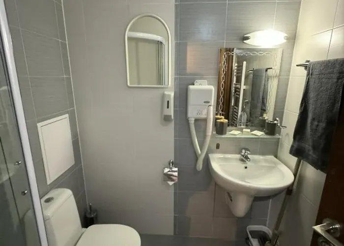 Elegant Access Premium Apartament