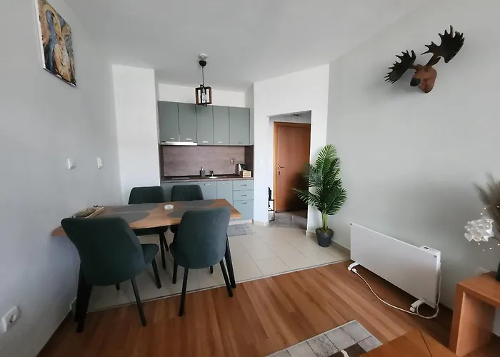 Elegant Access Premium Apartament